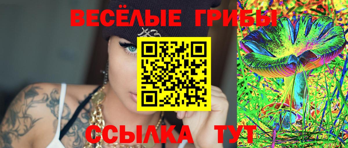 Альметьевск  Псилоцибиновые грибы Psilocybe  Вход с VPN 