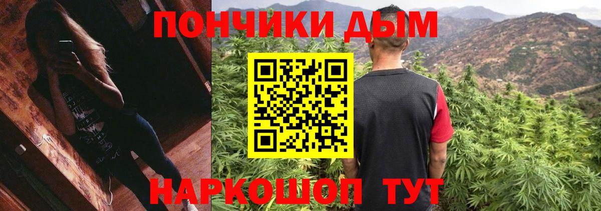 Каннабис Bruce Banner  МАРИХУАНА ГИДРОПОН  Вход с VPN  Альметьевск  Бошки марихуана индика 